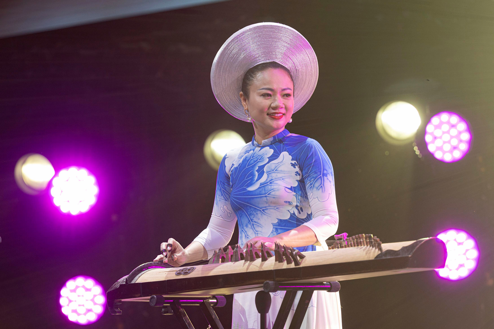 Vietnam Arts Show at Dubai Millennium Amphitheatre m68587