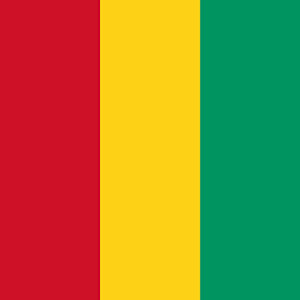 Guinea 2