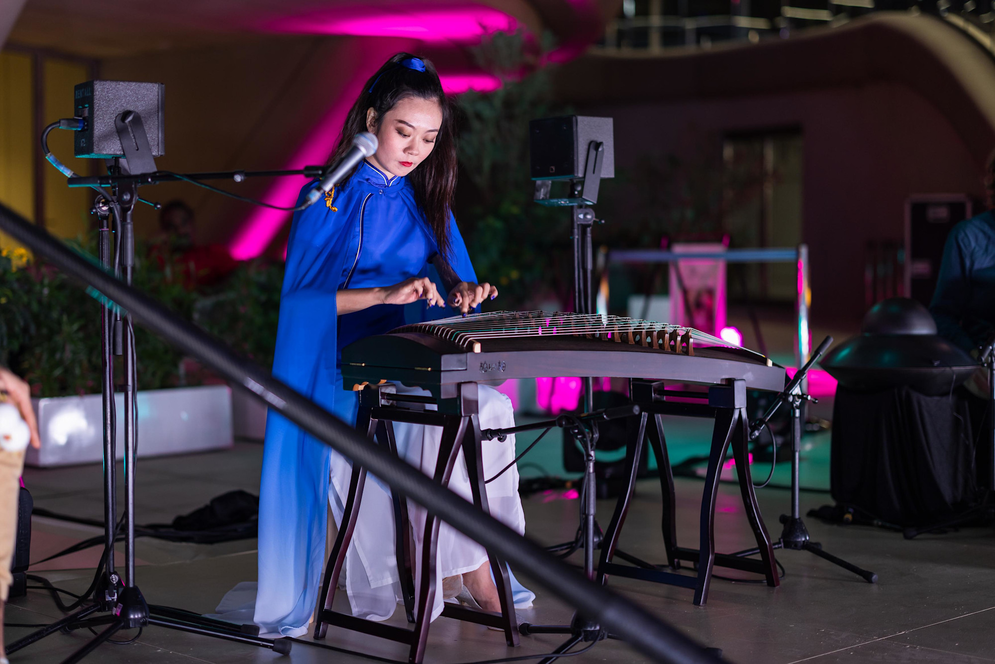 Strings and Beats at The Bowl m28539