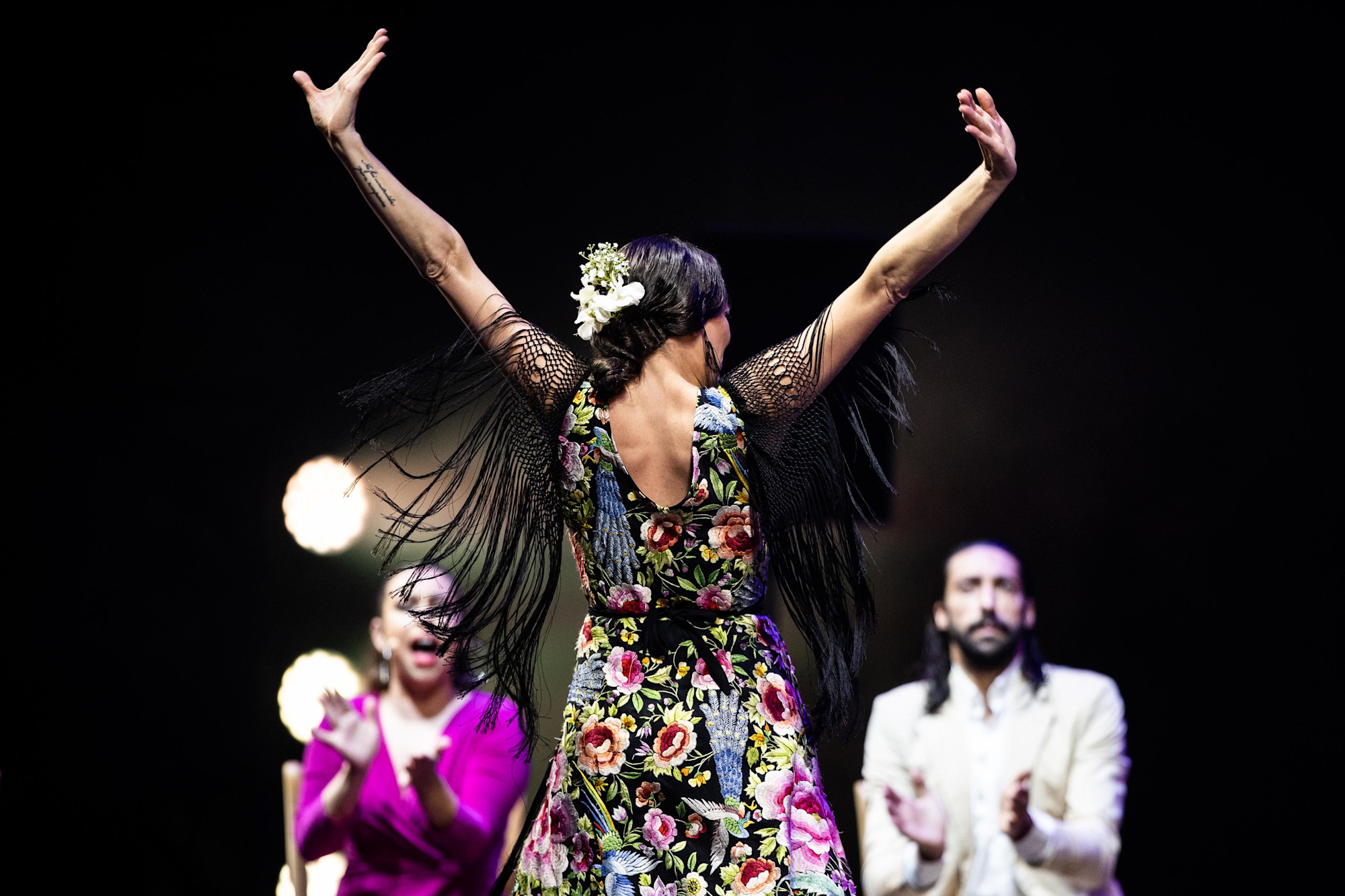 The Gala Flamenca performance at Dubai Millennium Amphitheatre m35335