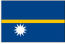 Nauru logo (flag)