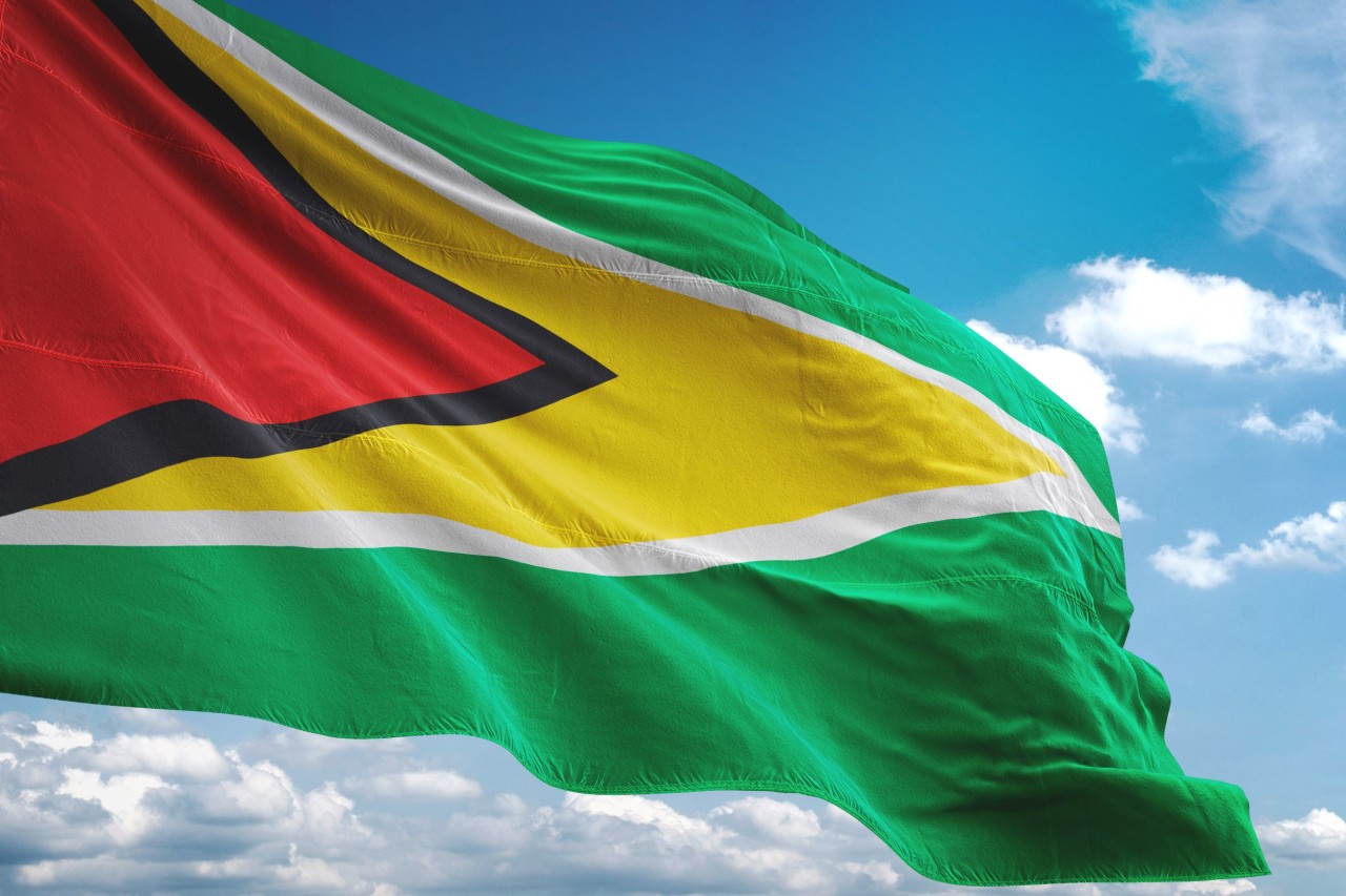 Guyana flag