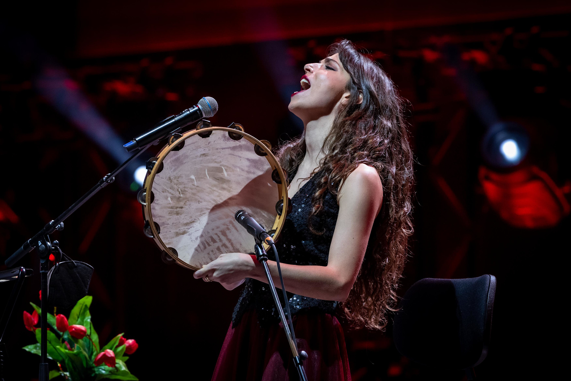Iraqi and Italian musicians perform Tosca-s Morabeza at Dubai Millennium Amphitheatre m48134