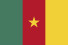 Cameroon Logo (Flag)