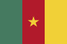 Cameroon Logo (Flag)