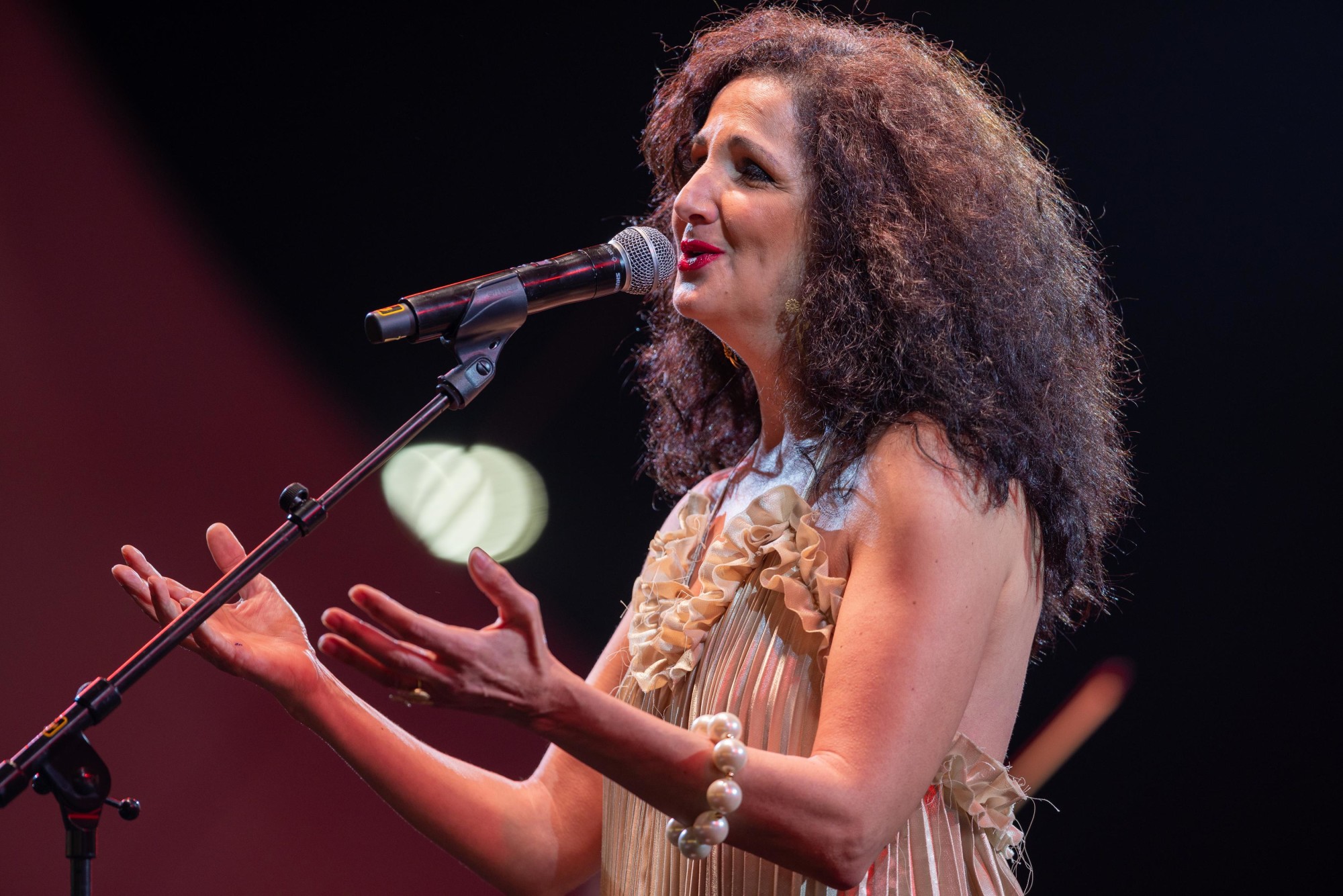 Tania Saleh performs during We, The Women Festival at Festival Garden m60047
