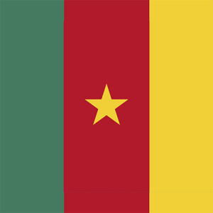 cameroon - Copie