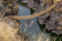 Build Bridges image