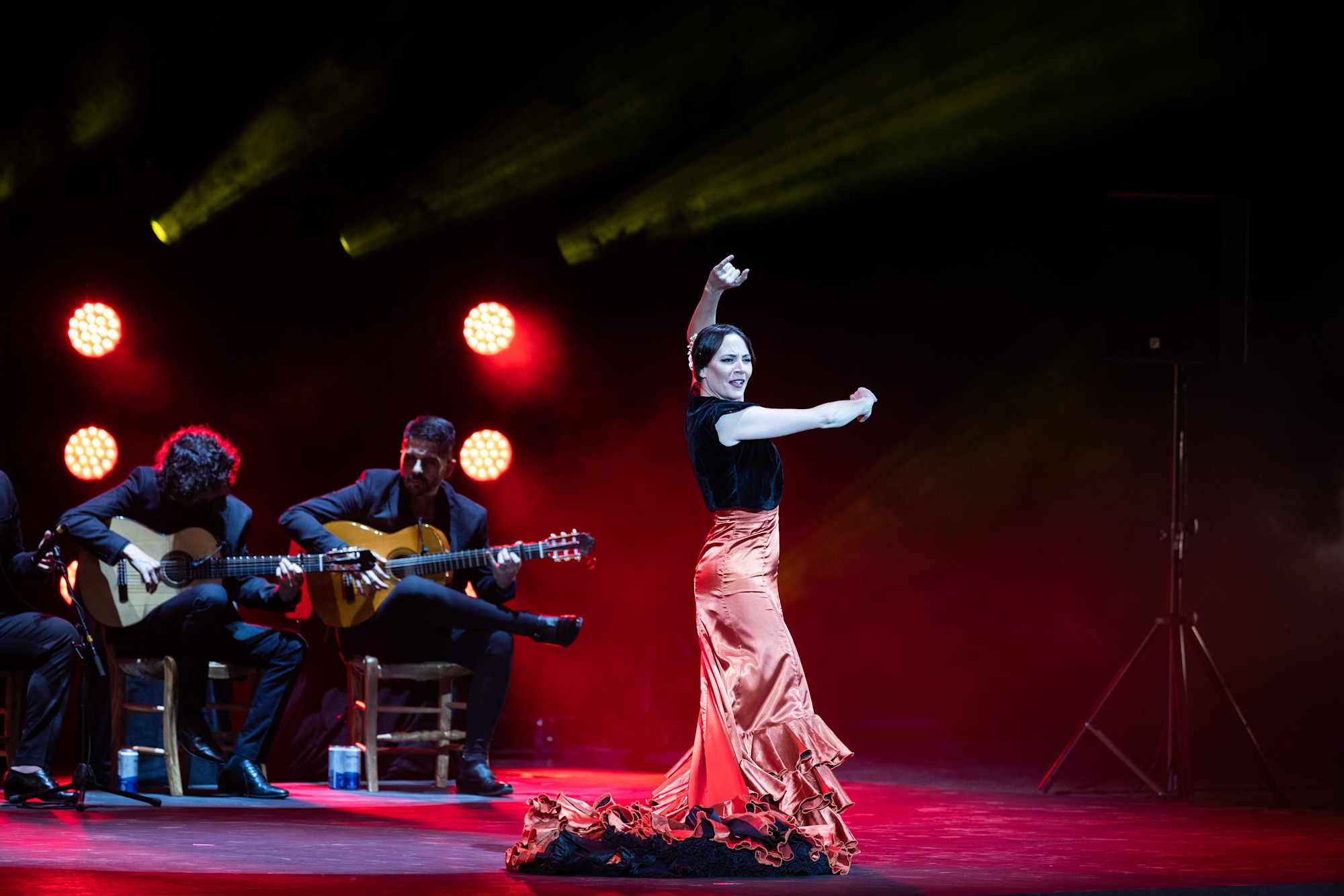 The Gala Flamenca performance at Dubai Millennium Amphitheatre m35313