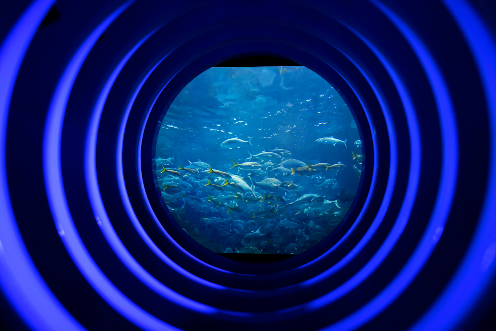 Seychelles Pavilion | World Expo