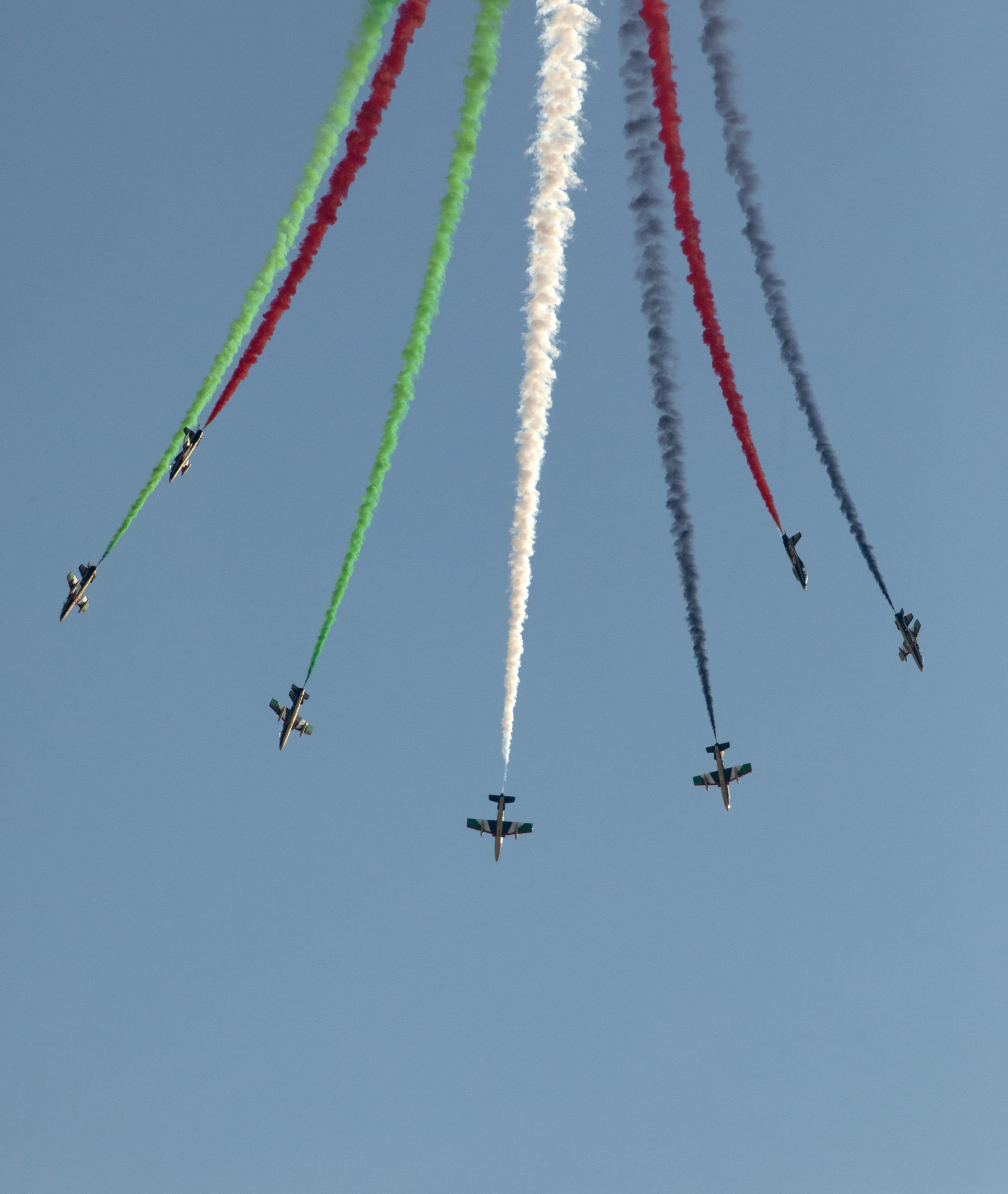 Al Fursan air show during UAE National Day and the Golden Jubilee Celebrations m16021