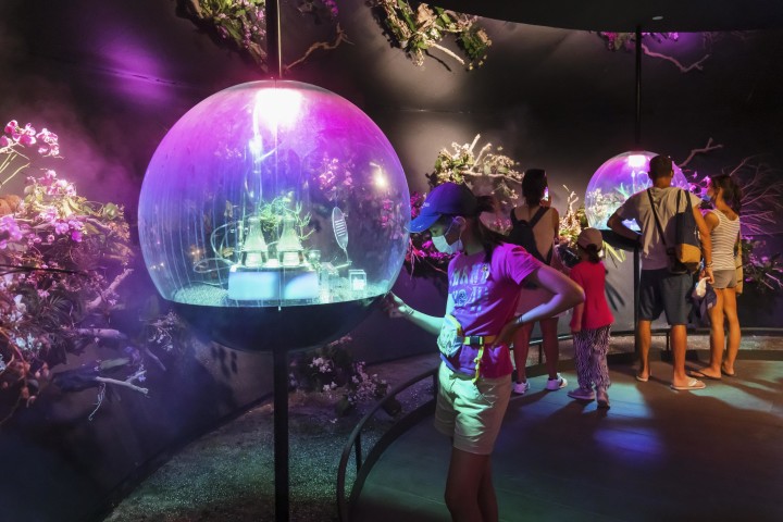 15. Biomorphosis light show. Credit to Singapore Pavilion Expo 2020 Dubai