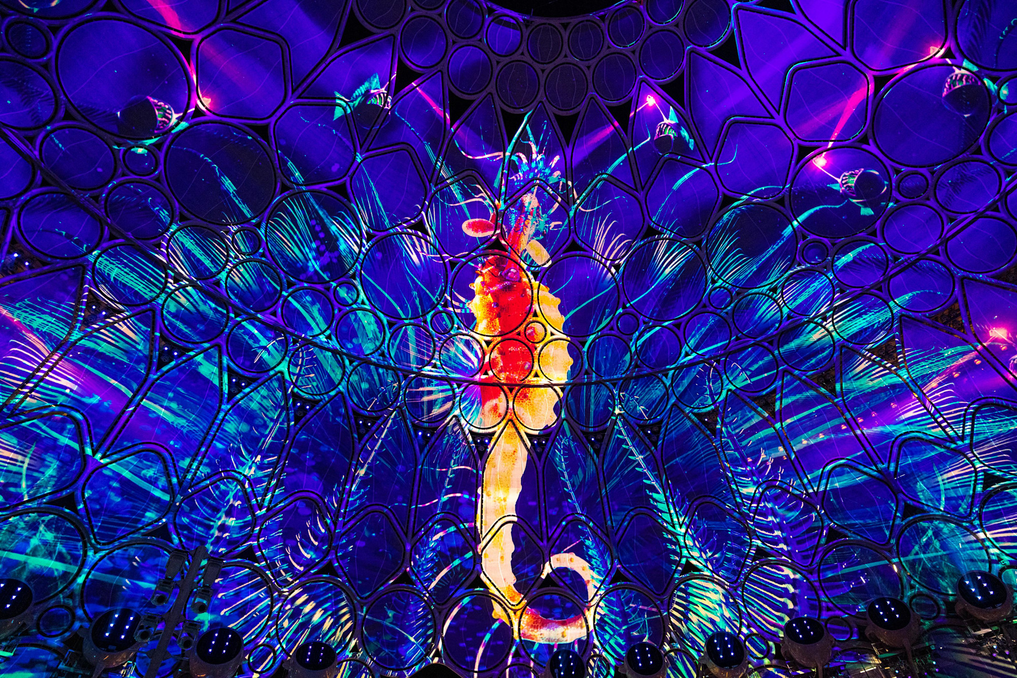 Underwater Harmony performance at Al Wasl Web Image m3978