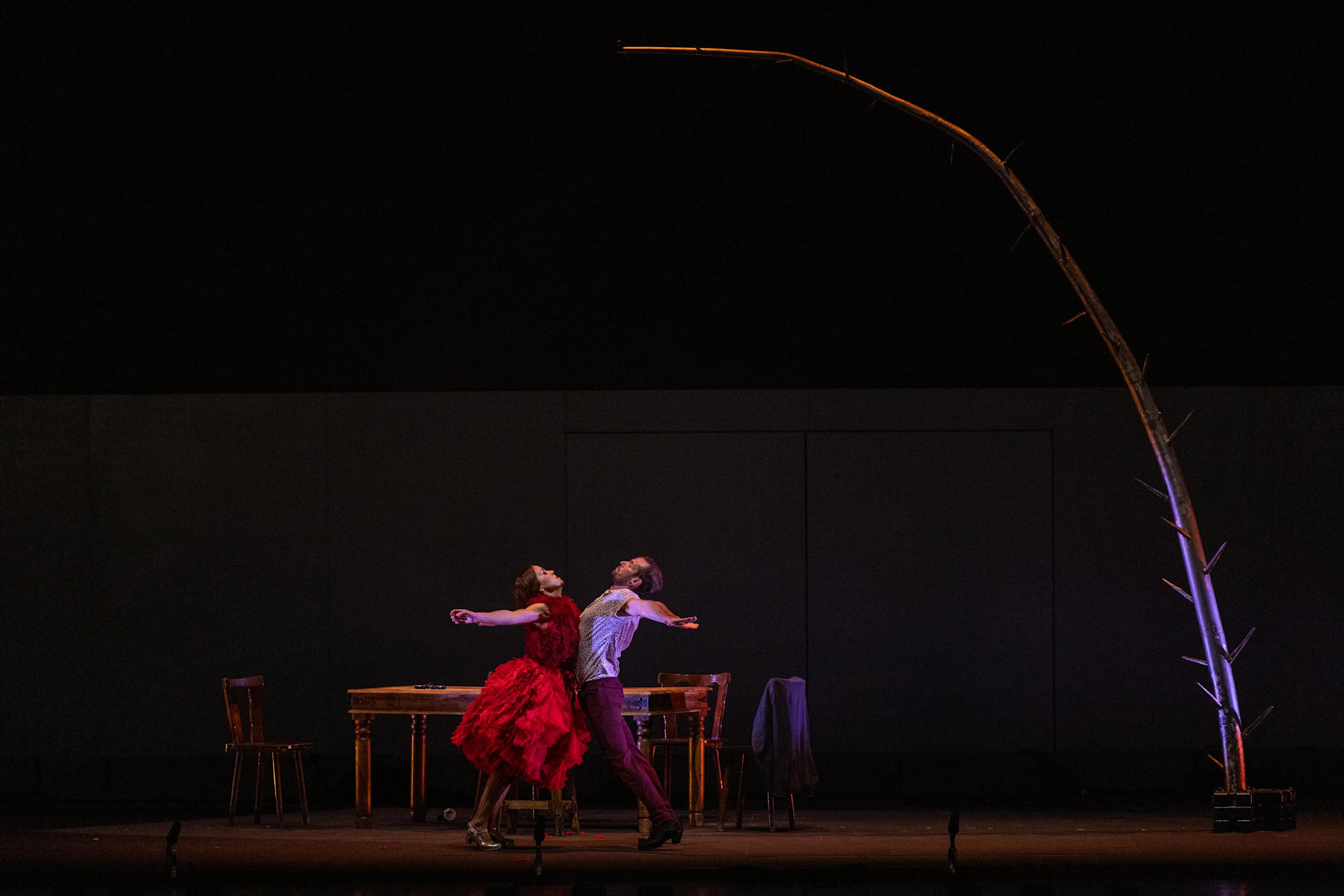 Olga Pericet Flamenco star performs at Dubai Millennium Amphitheatre - Al Forsan m6978