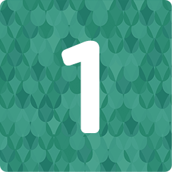 resource nbskin icon1 252x252