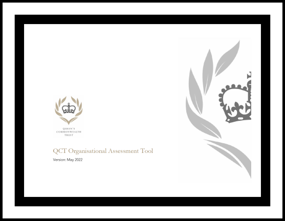 Organisational Assessment Tool Media 1