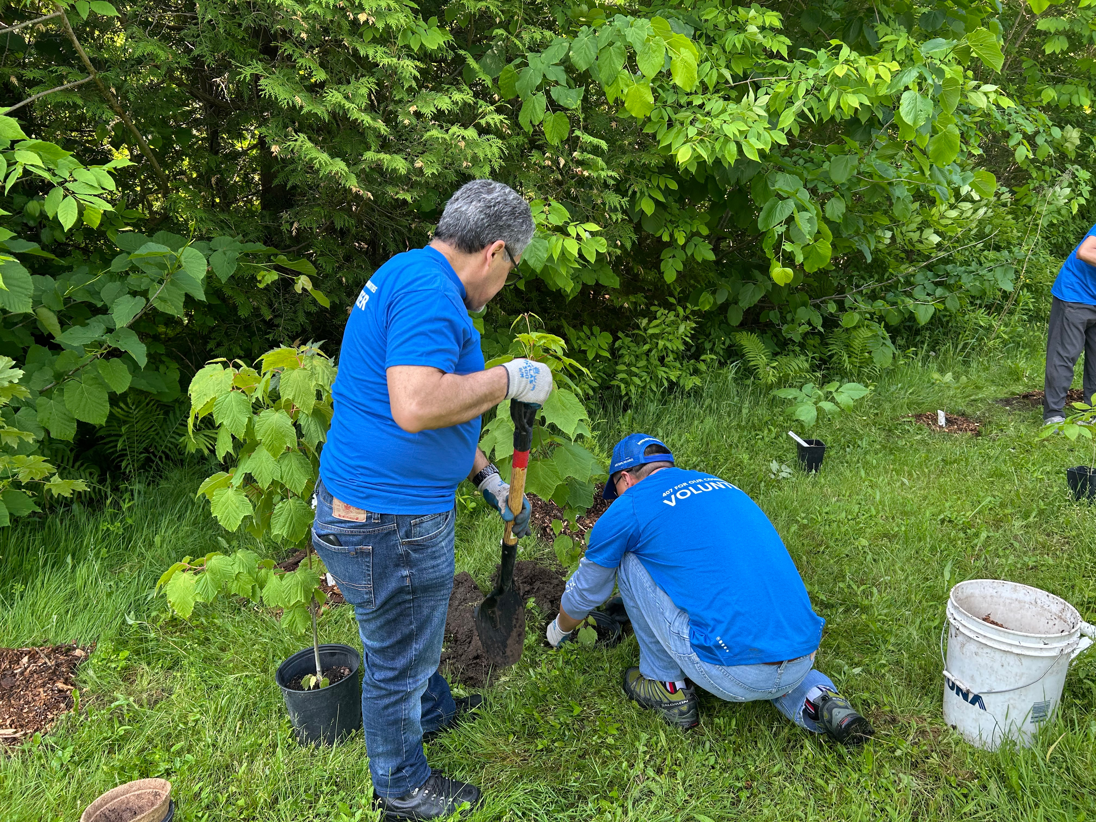volunteer-group