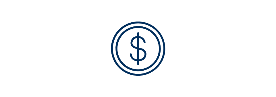 $ icon