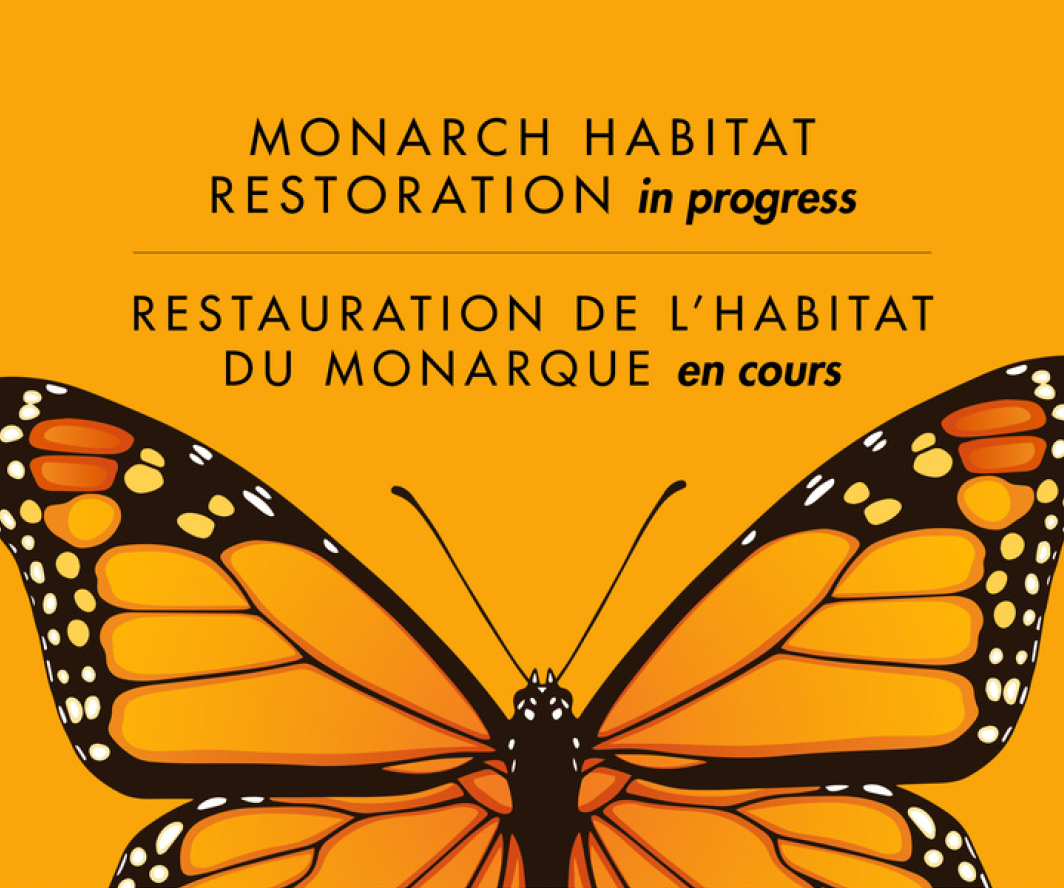 Monarch Habitat Restoration in progress