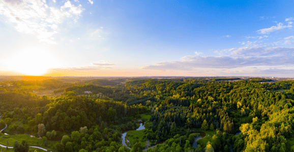 Aerial view of greenspace