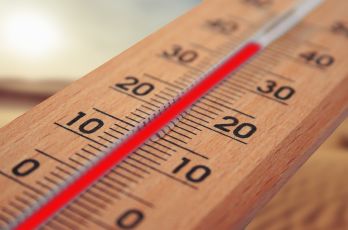 Tipps für heiße Tage: Wie du Lebensmittel vor Hitze schützt
