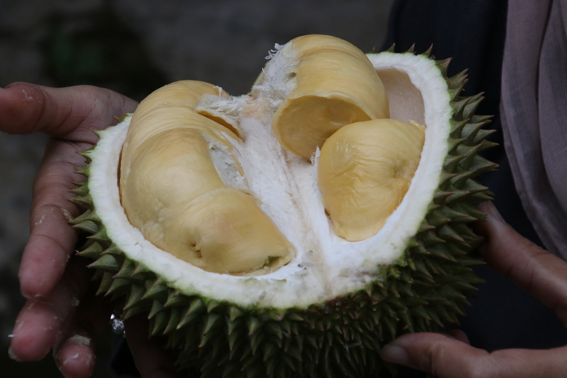 maxi durian rezepte