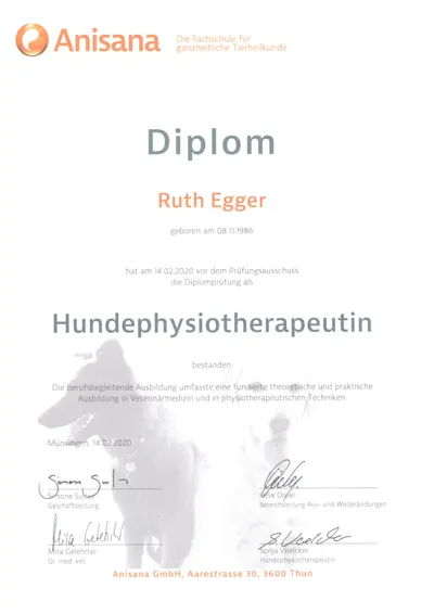 Diplom