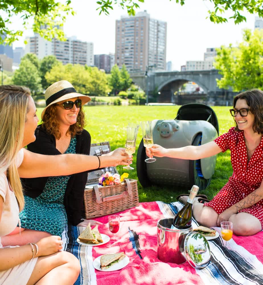 Three women sitting down in a park with a thunder gray gita having a picnic