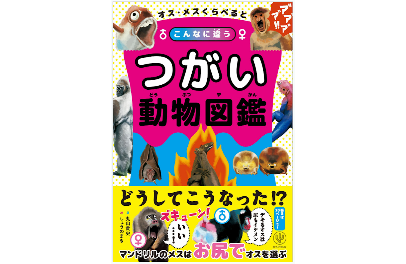 オスメス比べるとこんなに違う  つがい動物図鑑(かんき出版様)のイラスト全ページ担当致しました