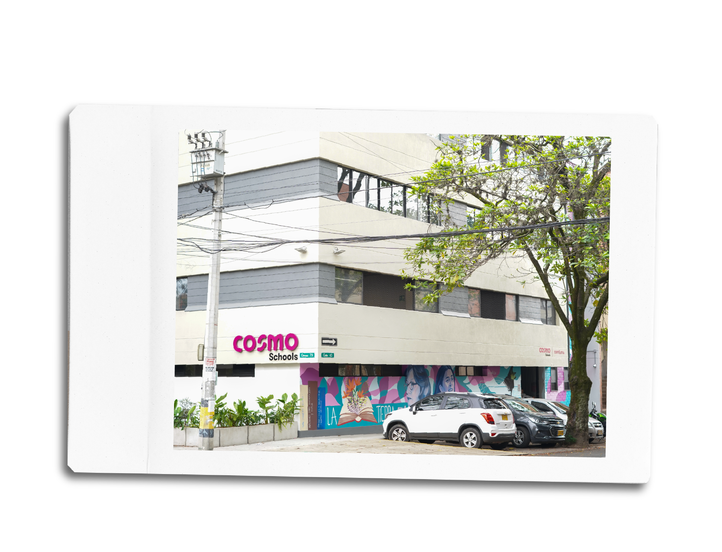 Polaroid Laureles