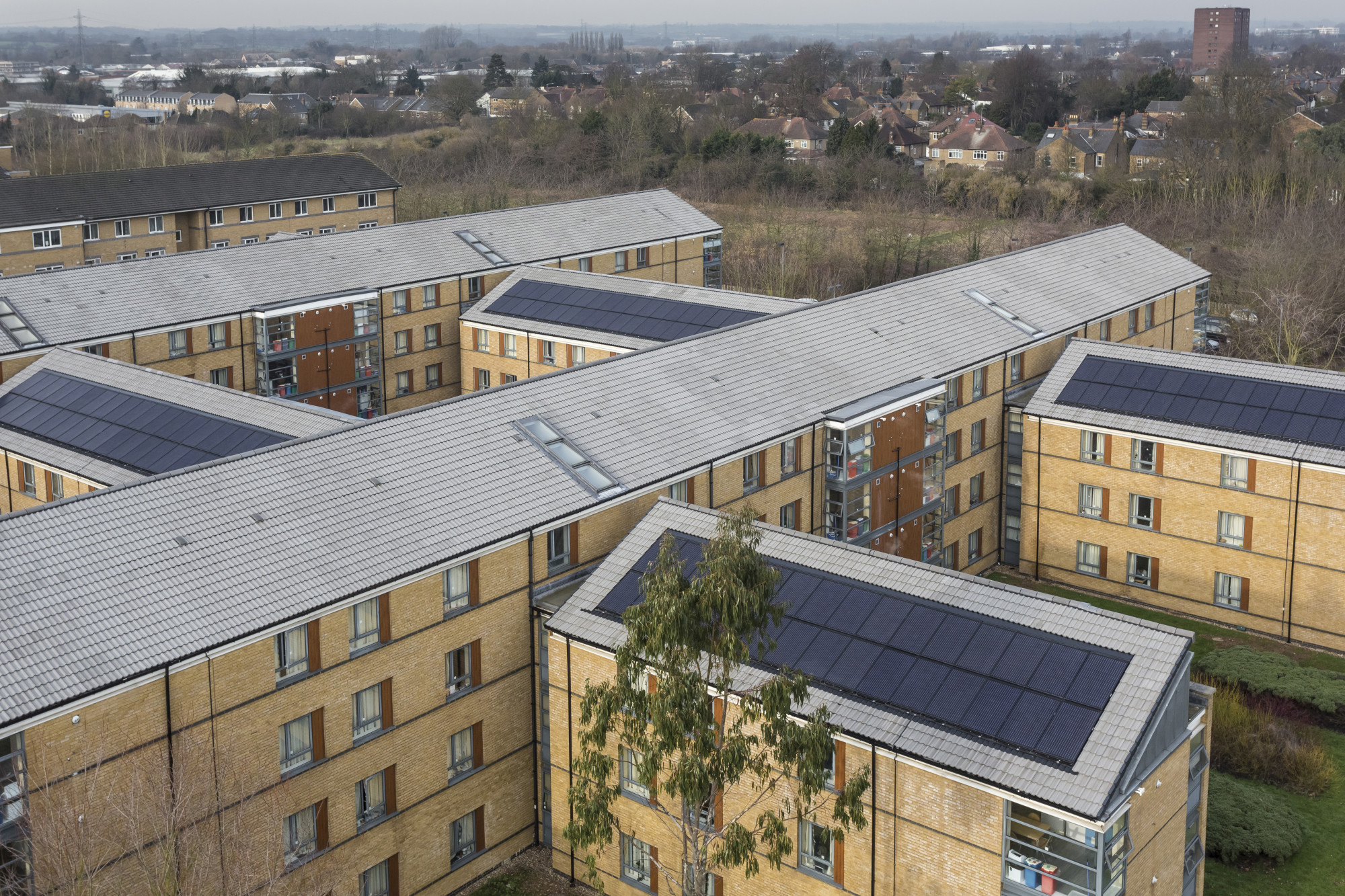 Brunel university hero