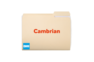 Cambrian DWG folder image