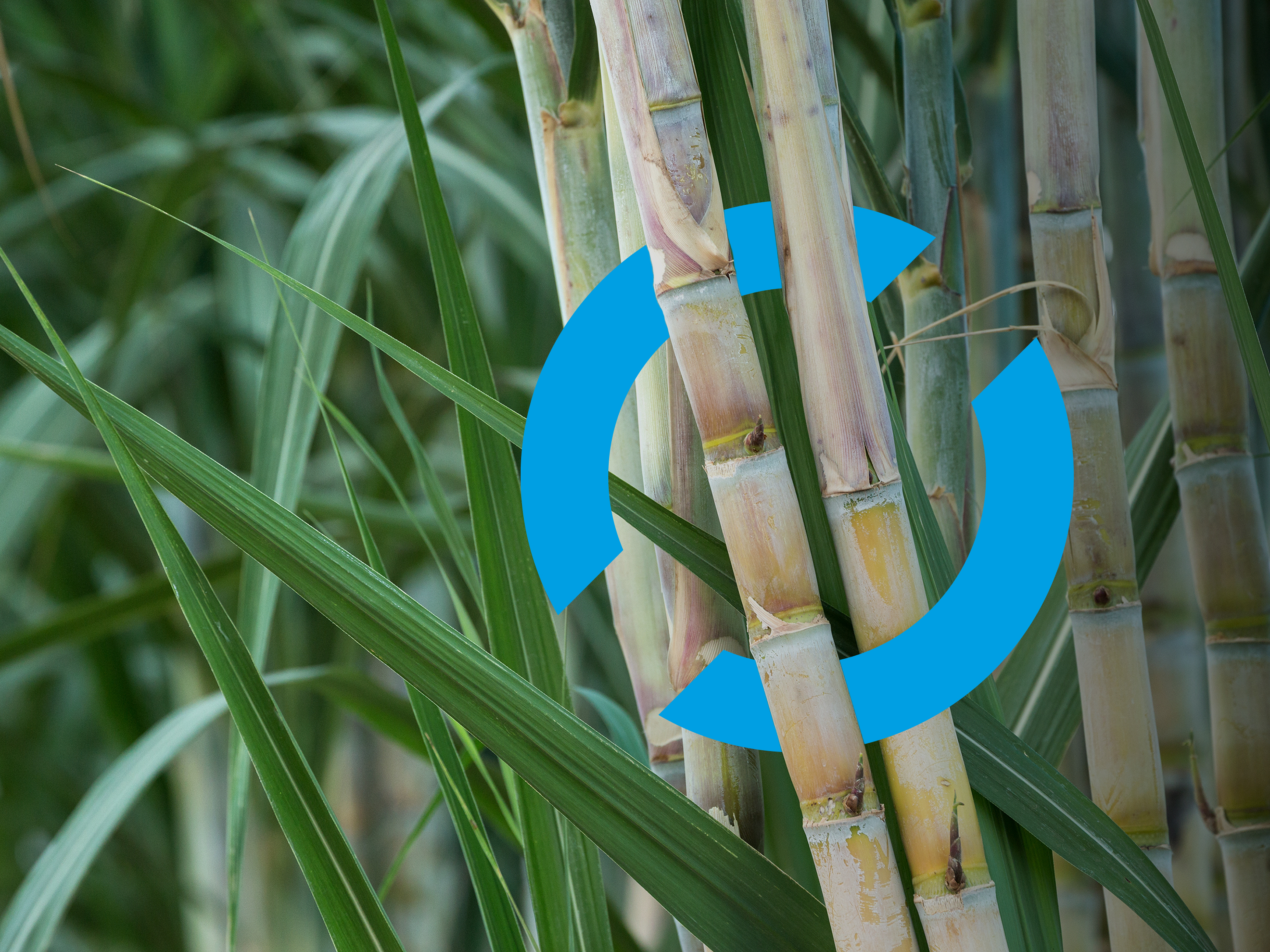 Environment image bmi