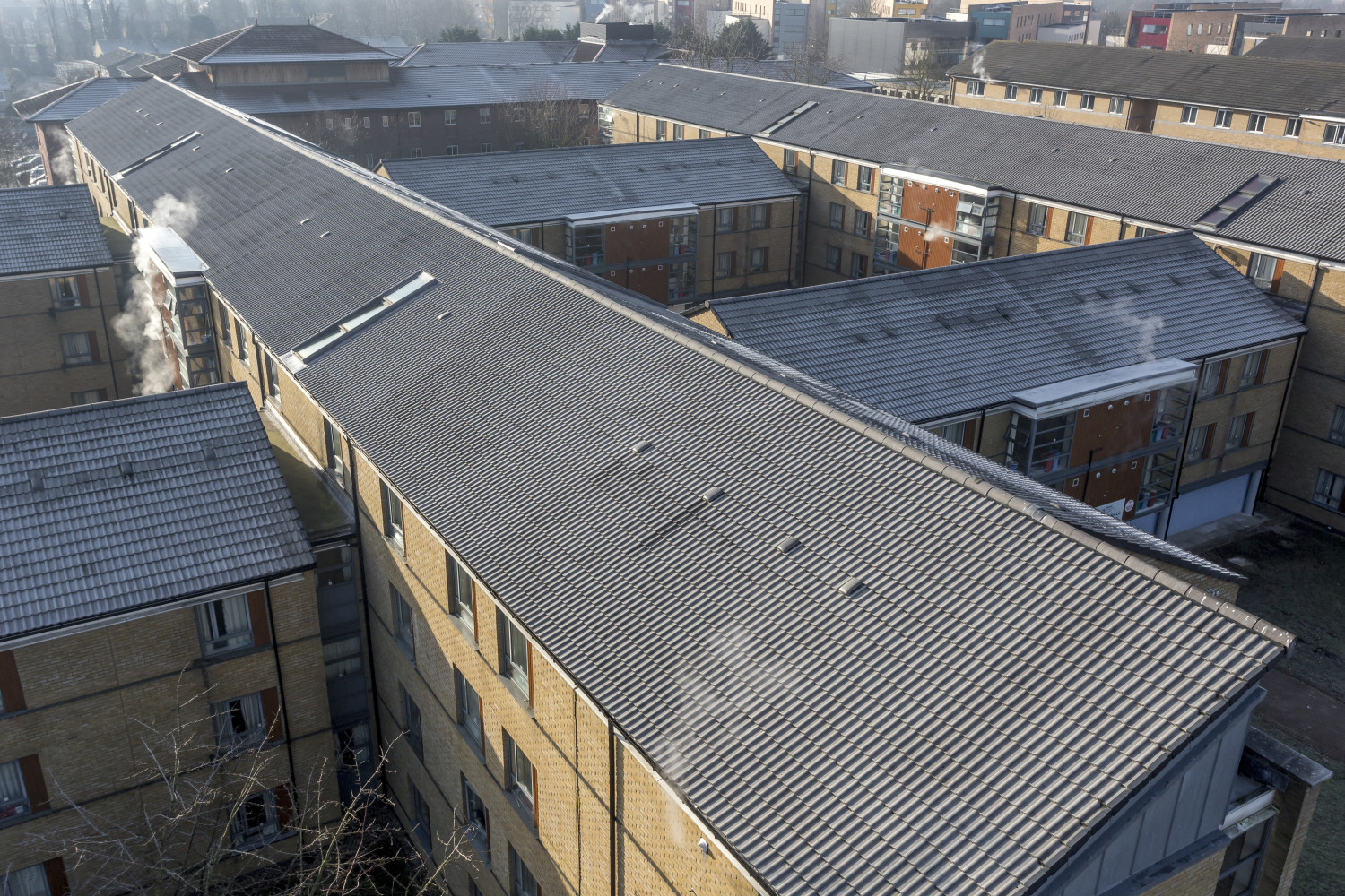 Brunel university syndicate image 2