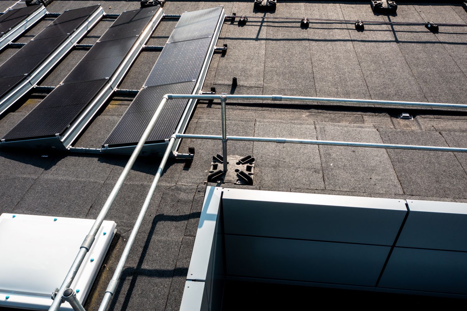 natural-history-museum-icopal-flat-roofing-challenge