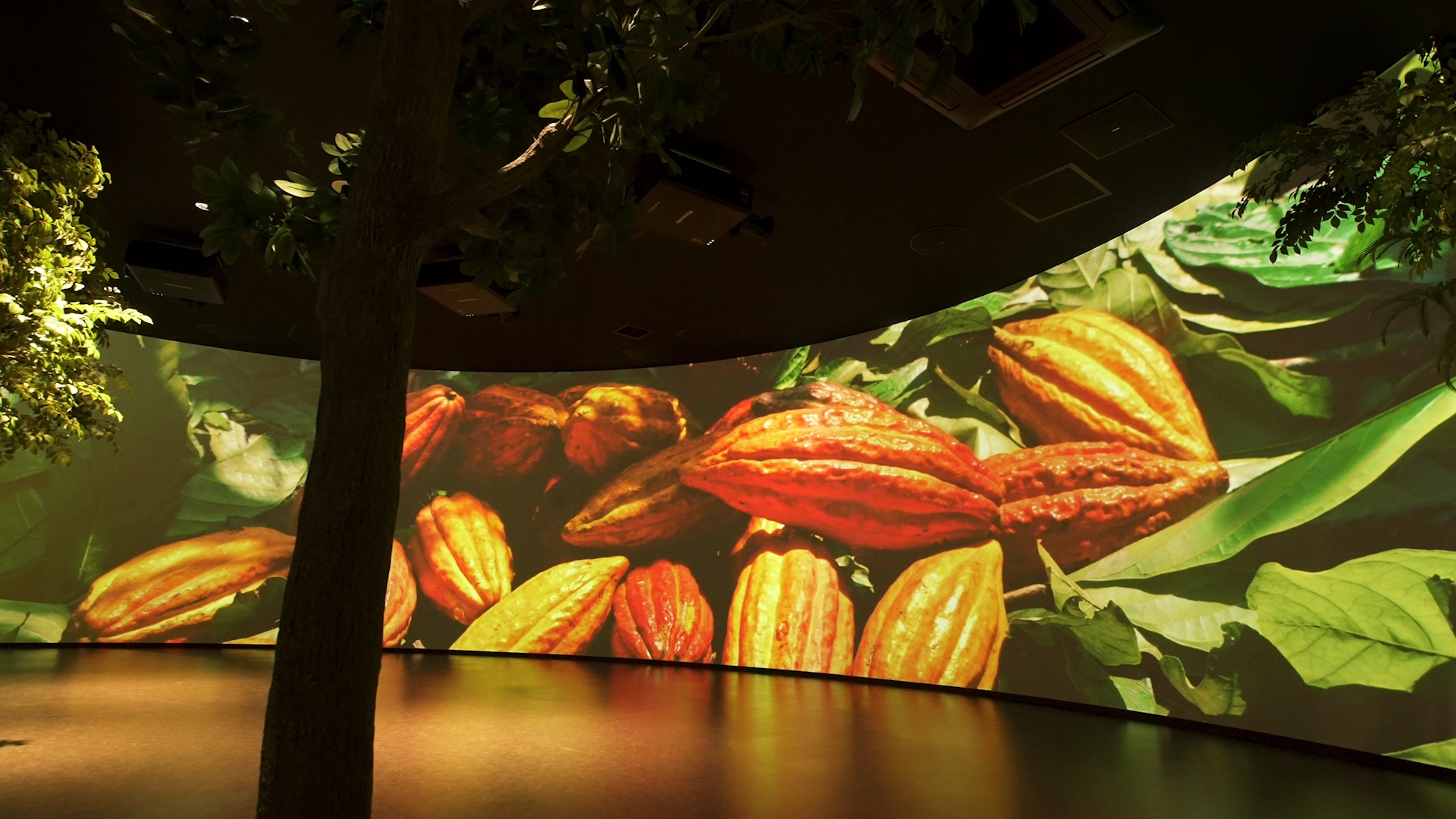 ROYCE' 体験型施設 ロイズカカオ＆チョコレートタウン常設映像