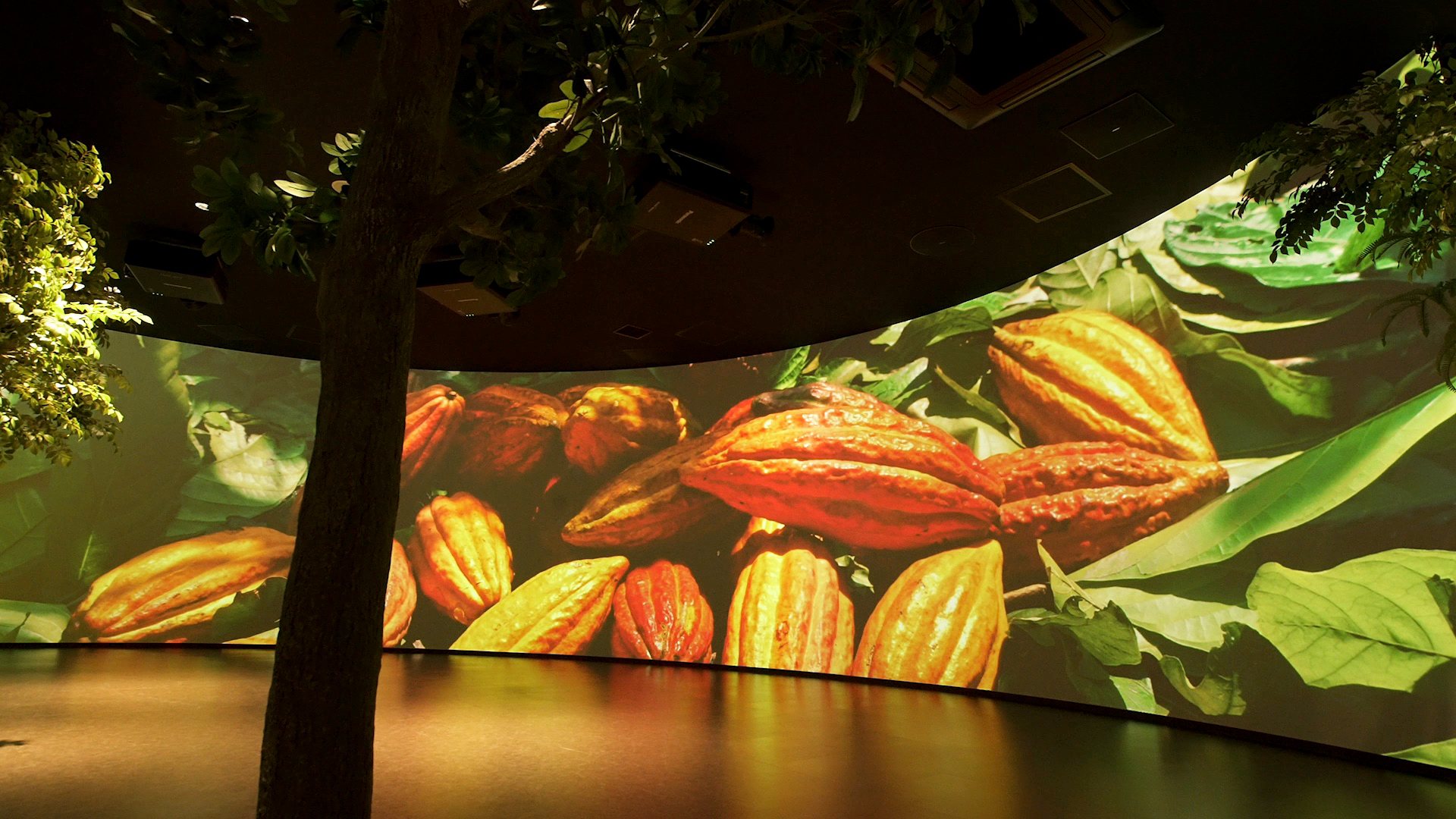 07.jpg?fit=thumb&f=top_left&w=