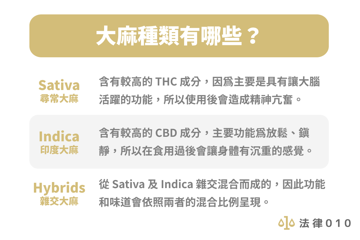 大麻合法化好嗎？大麻爭議性與相關刑罰讓律師解釋給你聽！