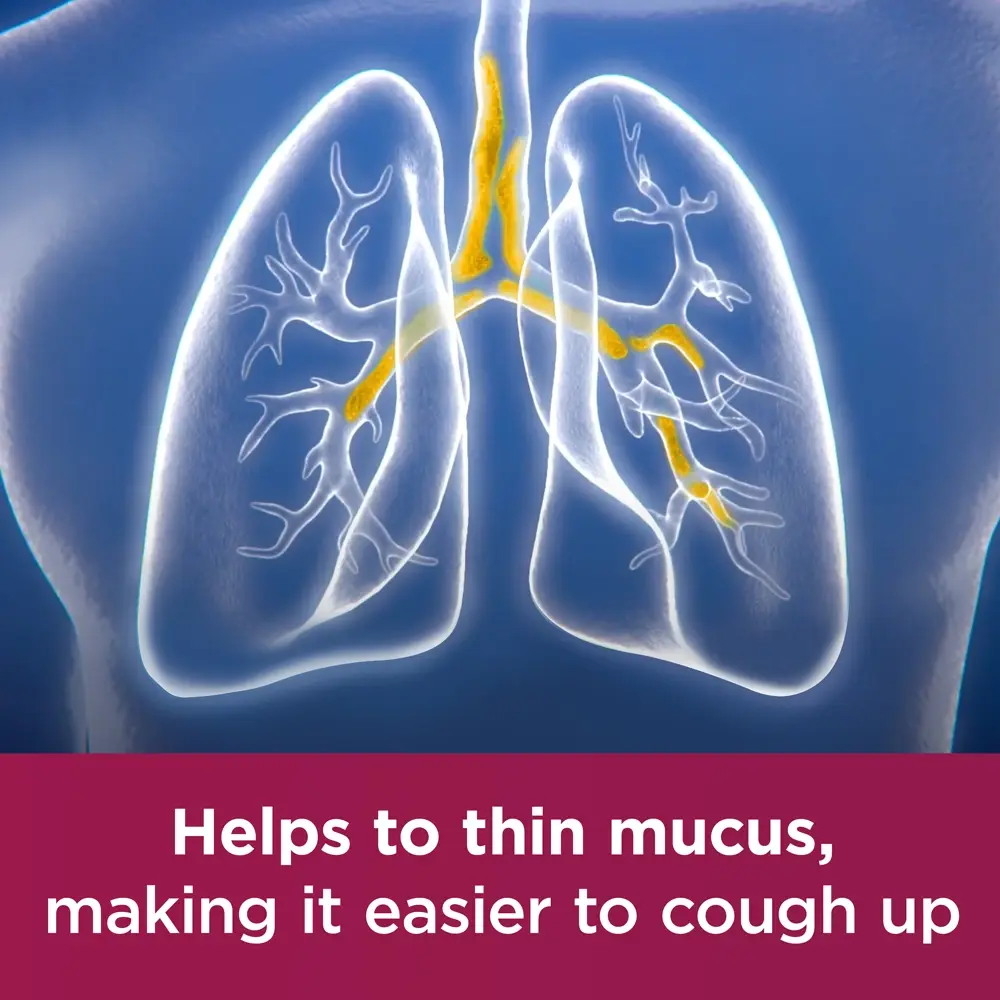 Image showing a drawing of lungs with the caption: Helps to thin mucus, making it easier to cough up