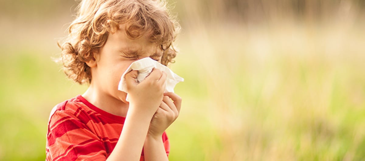 Hay Fever In Children