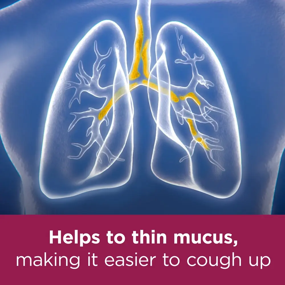 Image showing a drawing of lungs with the caption: Helps to thin mucus, making it easier to cough up