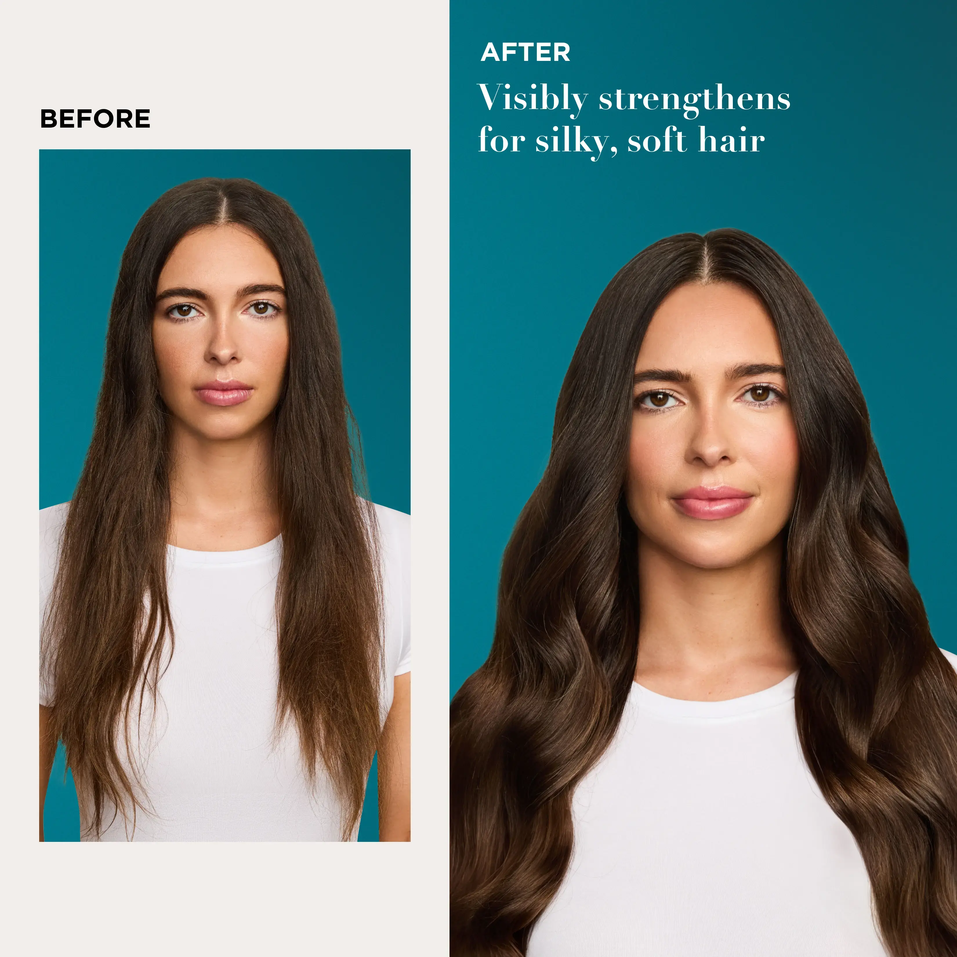 Argan Oil of Morocco Penetrating Oil