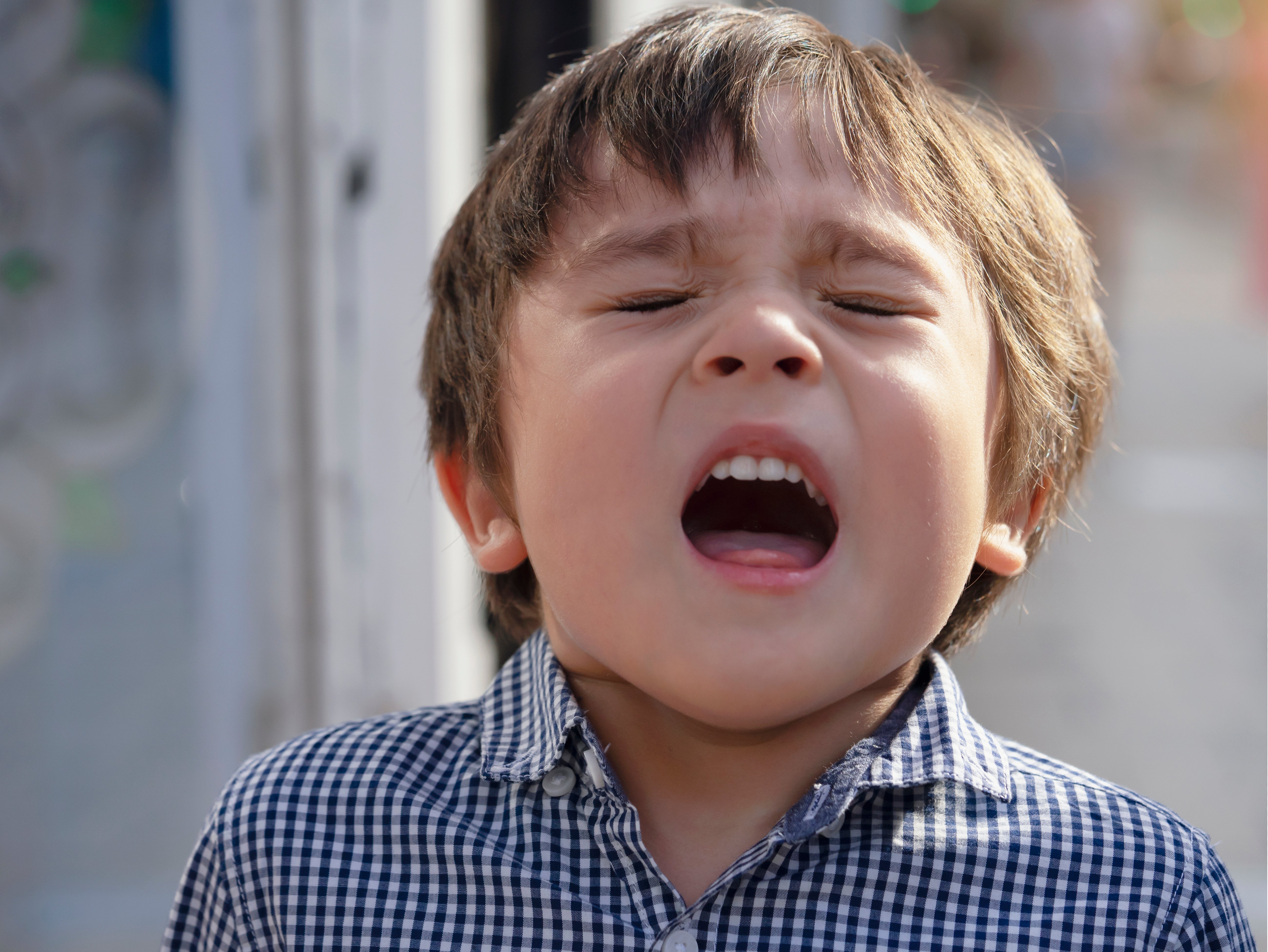 Hay Fever In Children