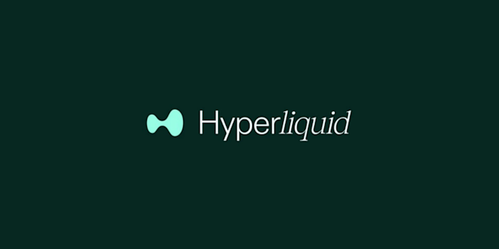 Hyperliquid Taxes: How to Pay Taxes on Your Hyperliquid Assets