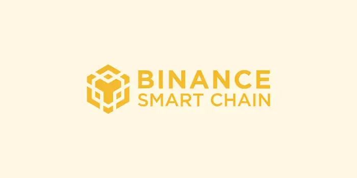 How to Report Taxes for Binance Smart Chain (BSC) With Awaken