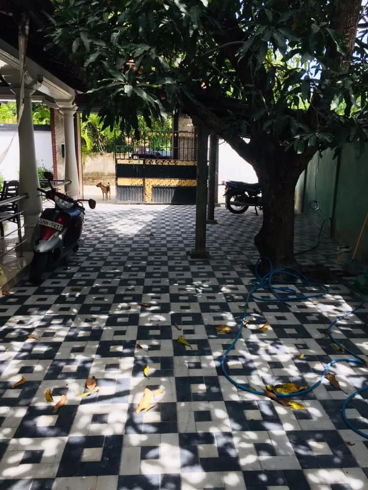 Project-64773600 661979120895067 5725712591259435008 n
