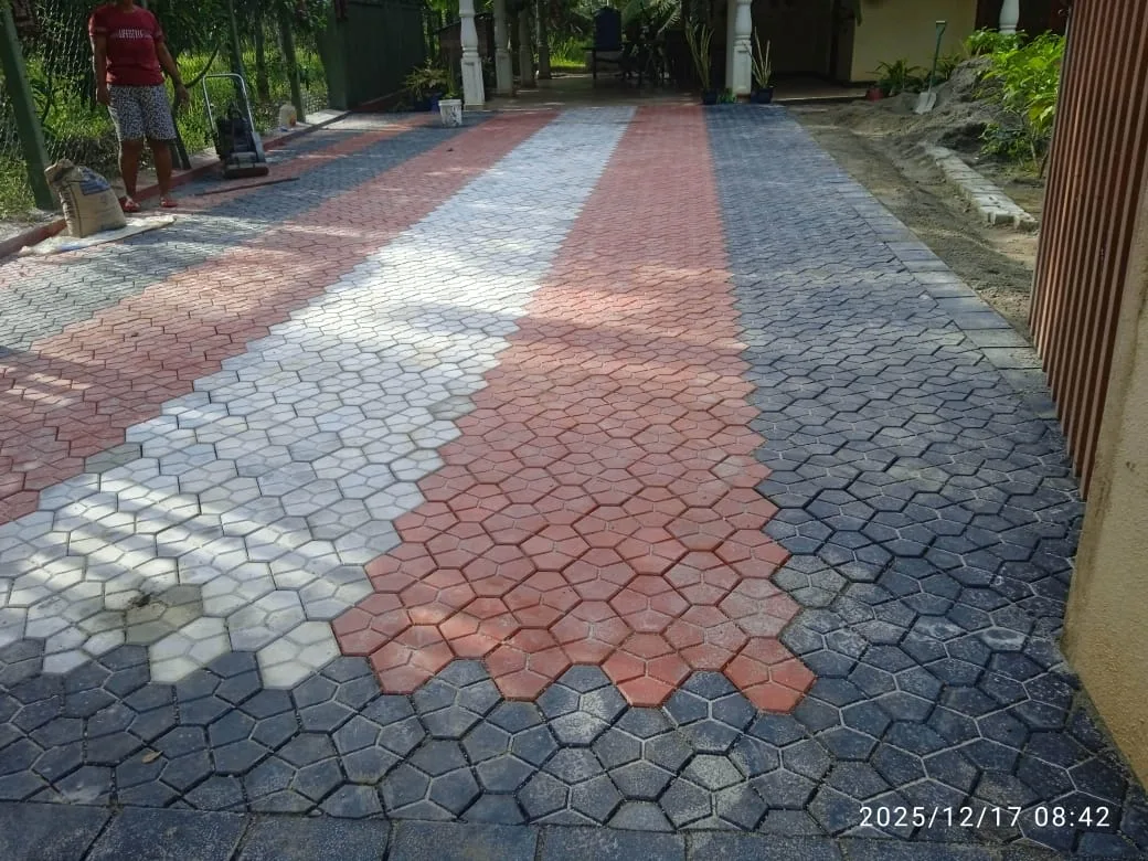 turtel paved image