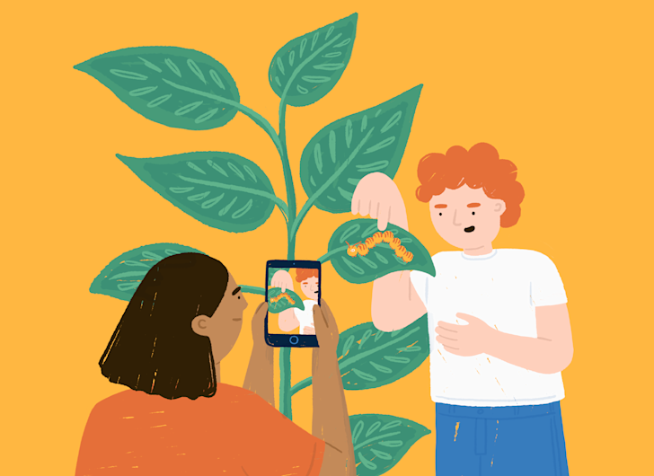 student-projects-summer