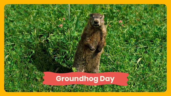 groundhog-day