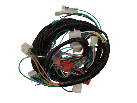 ARNÉS PRINCIPAL DS150